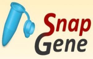 SnapGene 5.3.2 Crack With Registration Code Full {Latest} 2021 Free Download